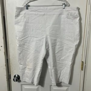 Pull on pant from Terra&Sky size 3X